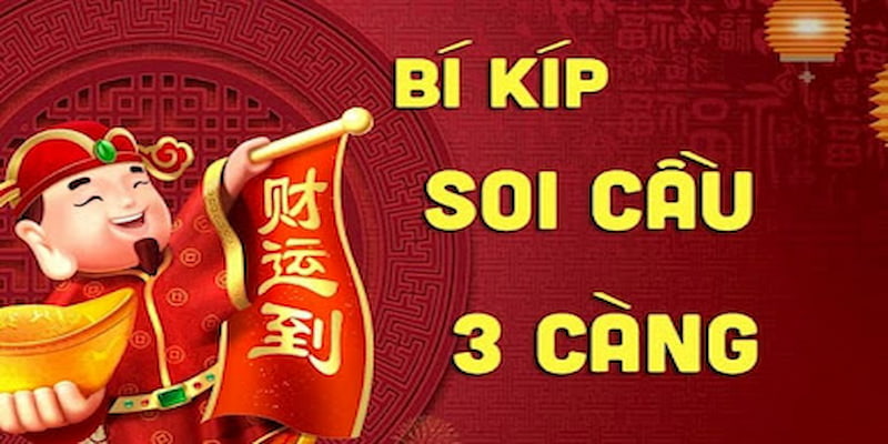 bi-kiep-soi-cau-3-cang-cho-nguoi-moi