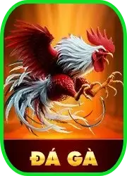 da-ga-truc-tiep-luck8-cuc-hay