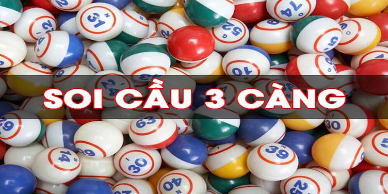 ly-do-nen-soi-cau-ba-cang