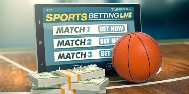 nhung-chuyen-muc-hap-dan-tai-the-thao-luck8