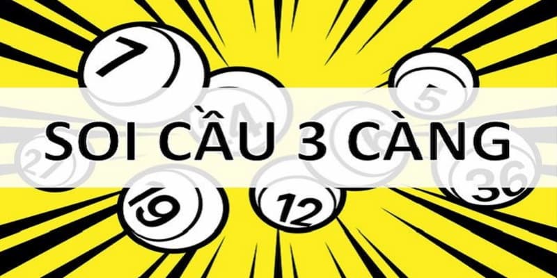 tong-quan-ve-soi-cau-ba-cang-luck8