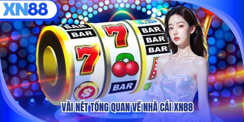 vai-net-tong-quan-ve-nha-cai-xn88
