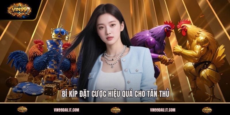 bi-kip-dat-cuoc-hieu-qua-cho-tan-thu