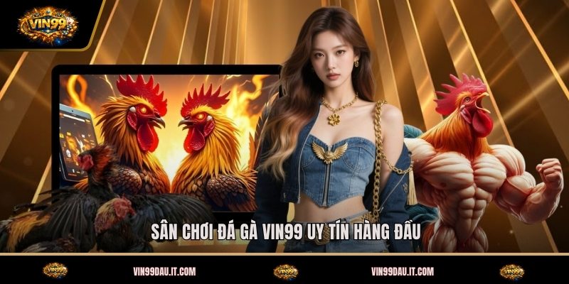 san-choi-da-ga-vin99-uy-tin-hang-dau